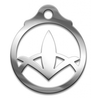 Оберег Славянский Радуга благодати, медсталь, 27мм